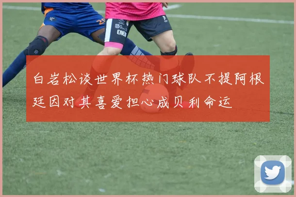 白岩松谈世界杯热门球队不提阿根廷因对其喜爱担心成贝利命运