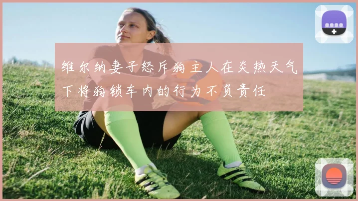 维尔纳妻子怒斥狗主人在炎热天气下将狗锁车内的行为不负责任