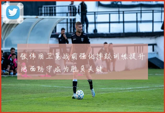 张伟丽卫冕战前强化摔跤训练提升地面防守成为胜负关键
